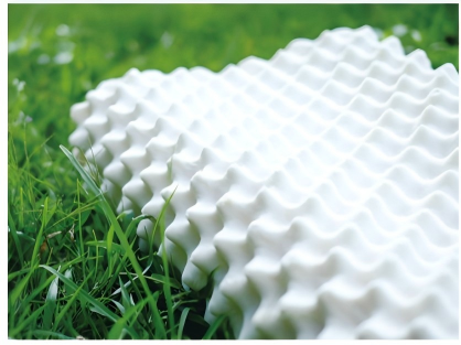 Viscoelastic Foam